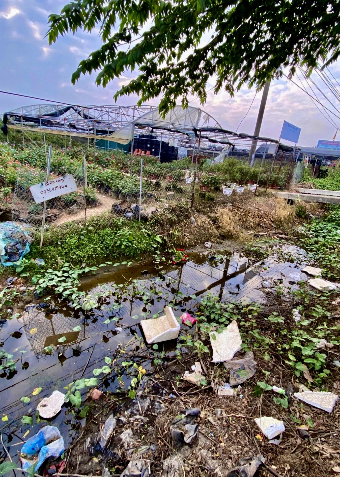 Soil and sediment contamination by unsubstituted and methylated polycyclic aromatic hydrocarbons in an informal e-waste recycling area, northern Vietnam: Occurrence, source apportionment, and risk assessment